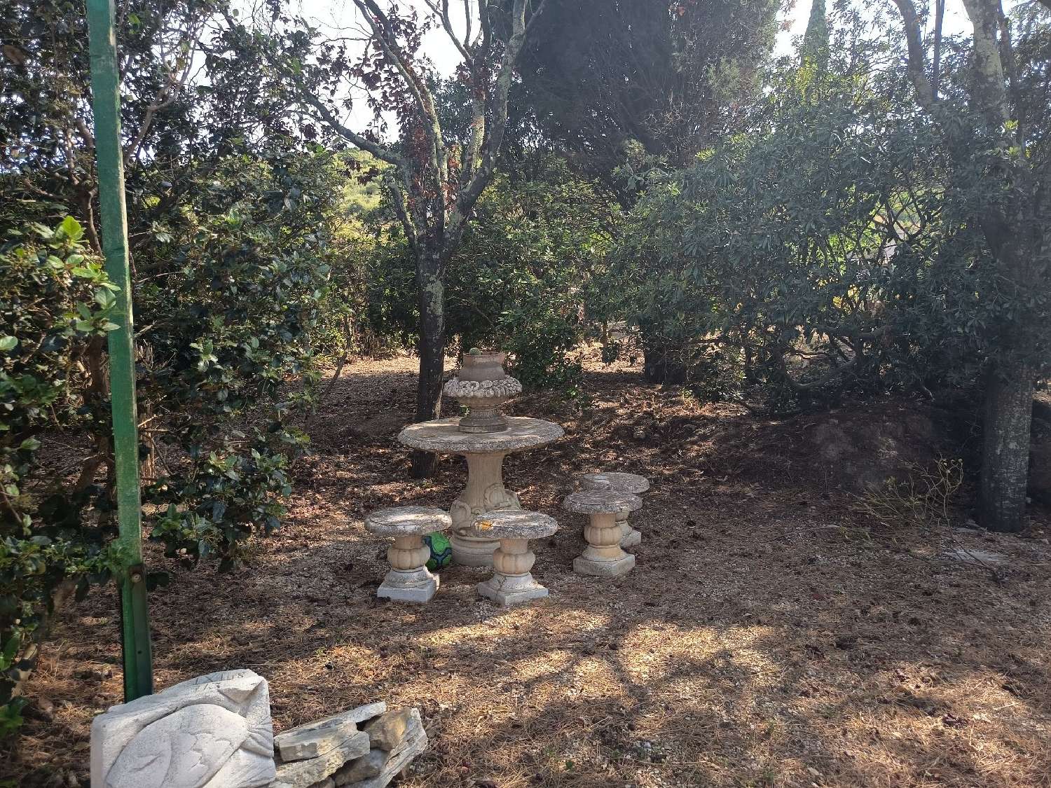  for sale house Cascastel-des-Corbières Aude 6