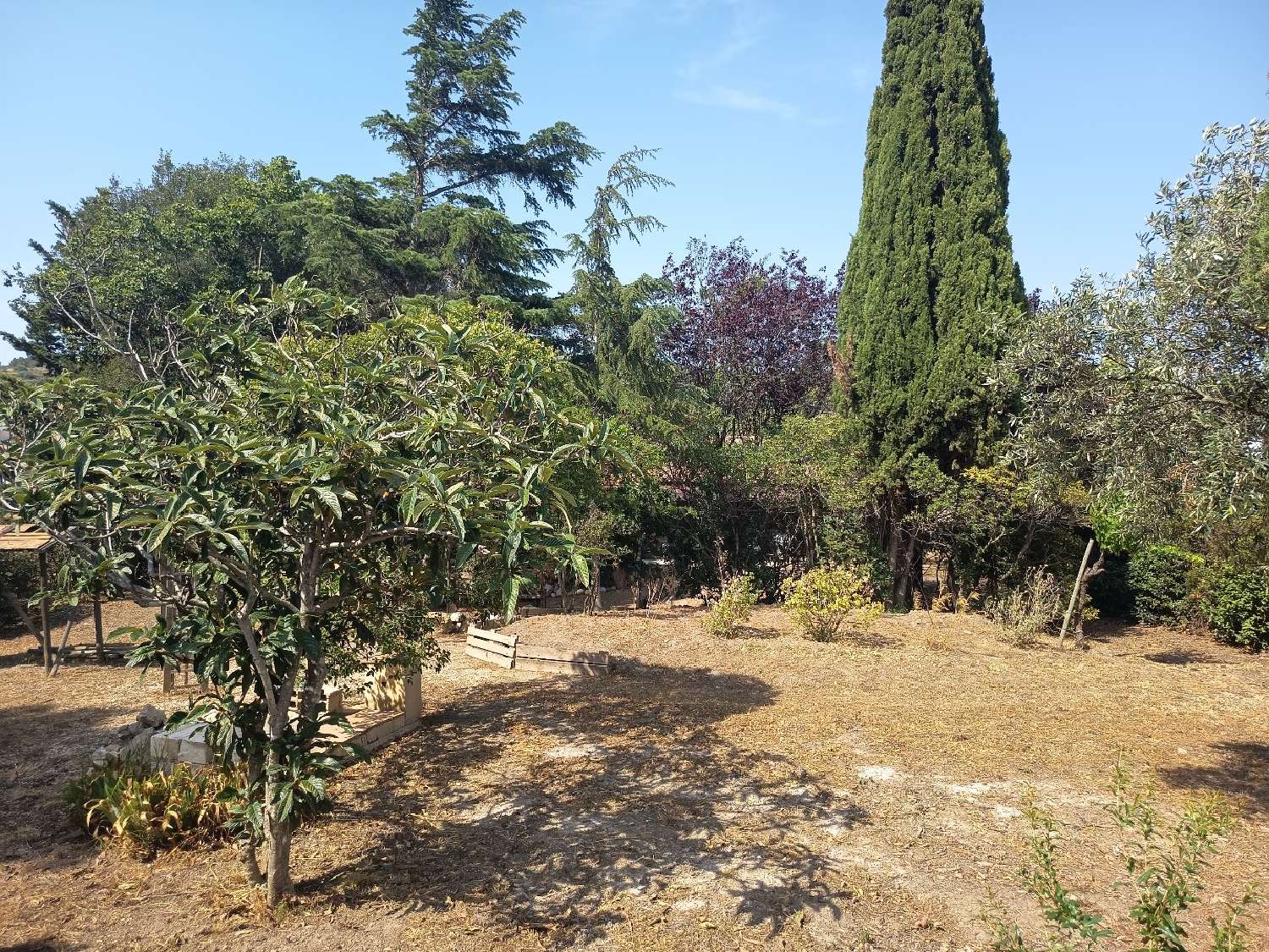  for sale house Cascastel-des-Corbières Aude 7