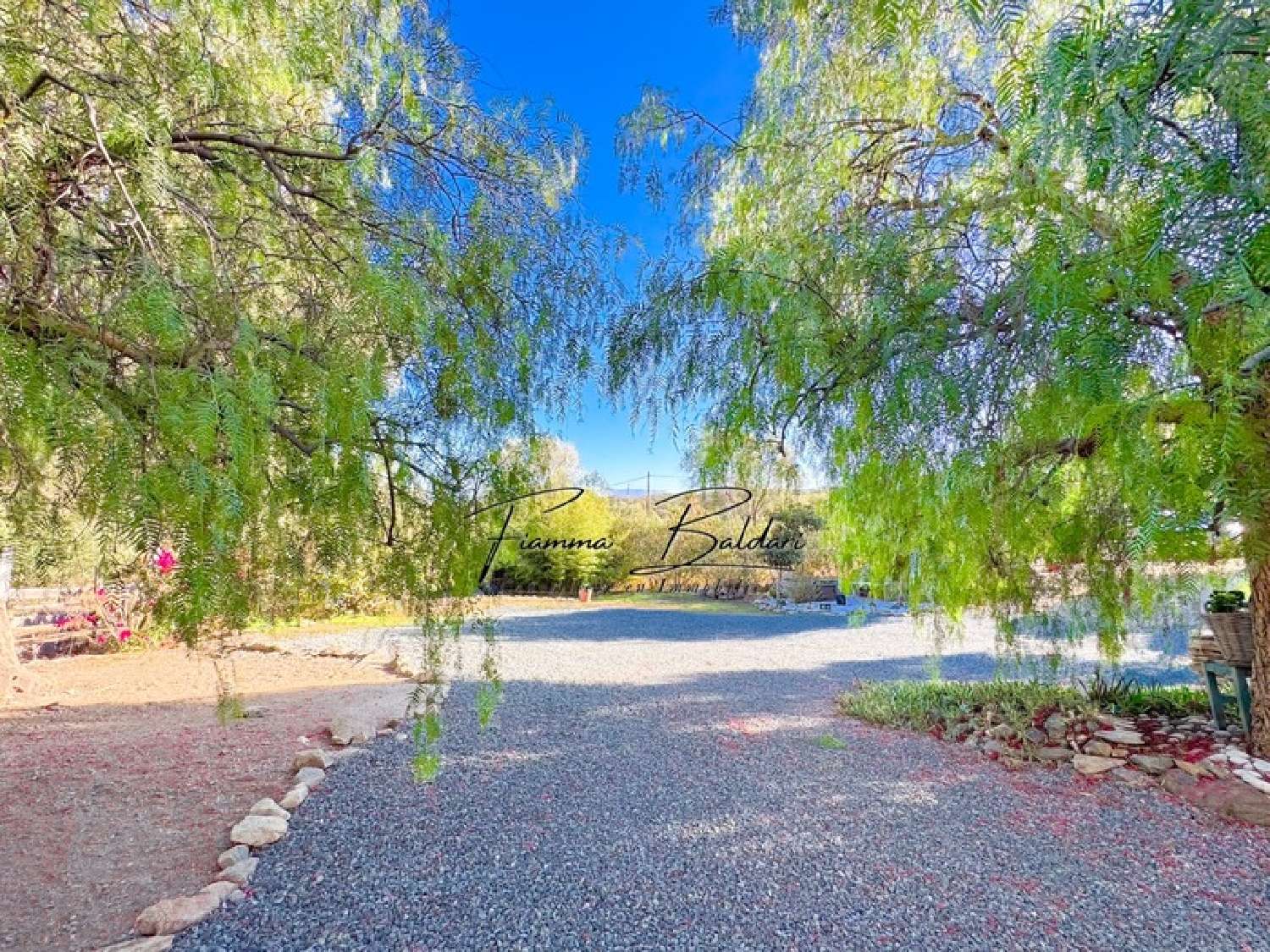  te koop huis Casta Haute-Corse 2