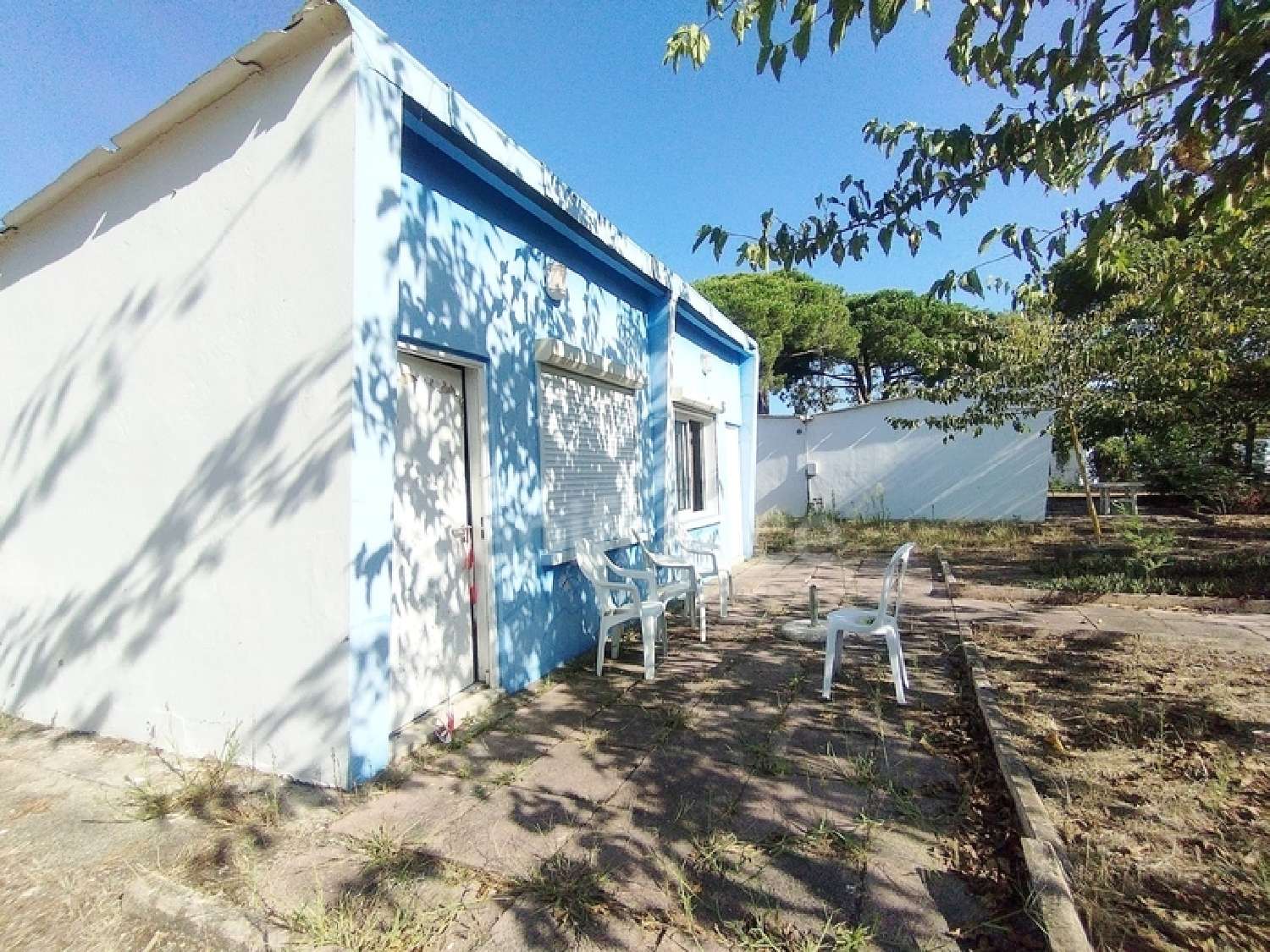 for sale house Castellare-di-Casinca Haute-Corse 7