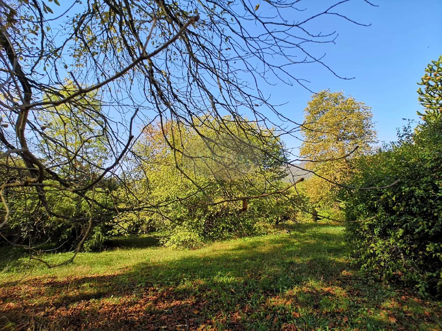  for sale house Cazaux-Layrisse Haute-Garonne 2