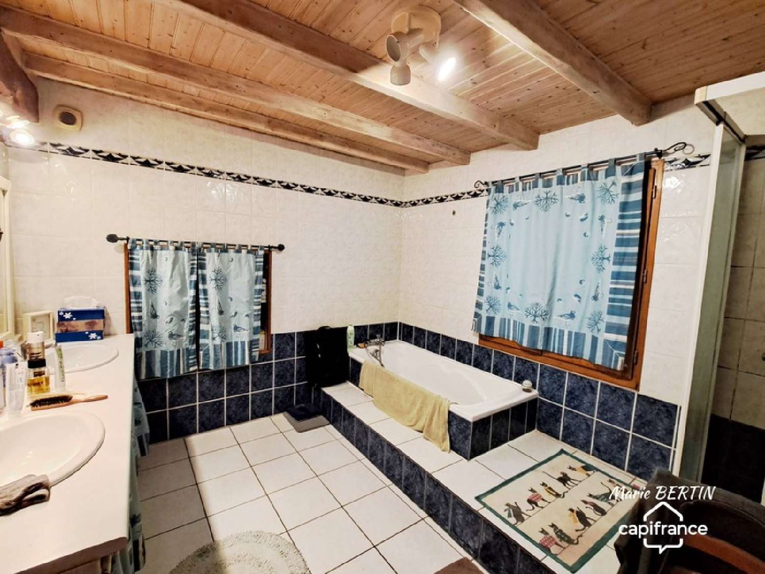 te koop huis Celles-sur-Belle Deux-Sèvres 8