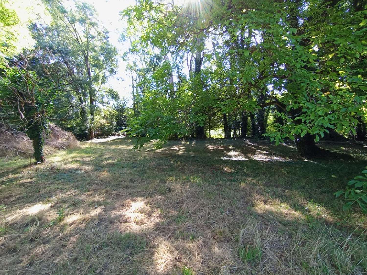  for sale house Celles-sur-Belle Deux-Sèvres 8