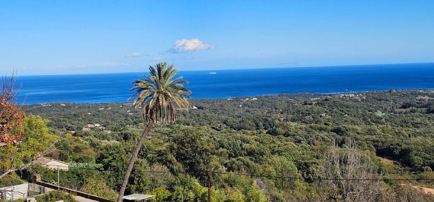 kaufen Haus Cervione Haute-Corse 1