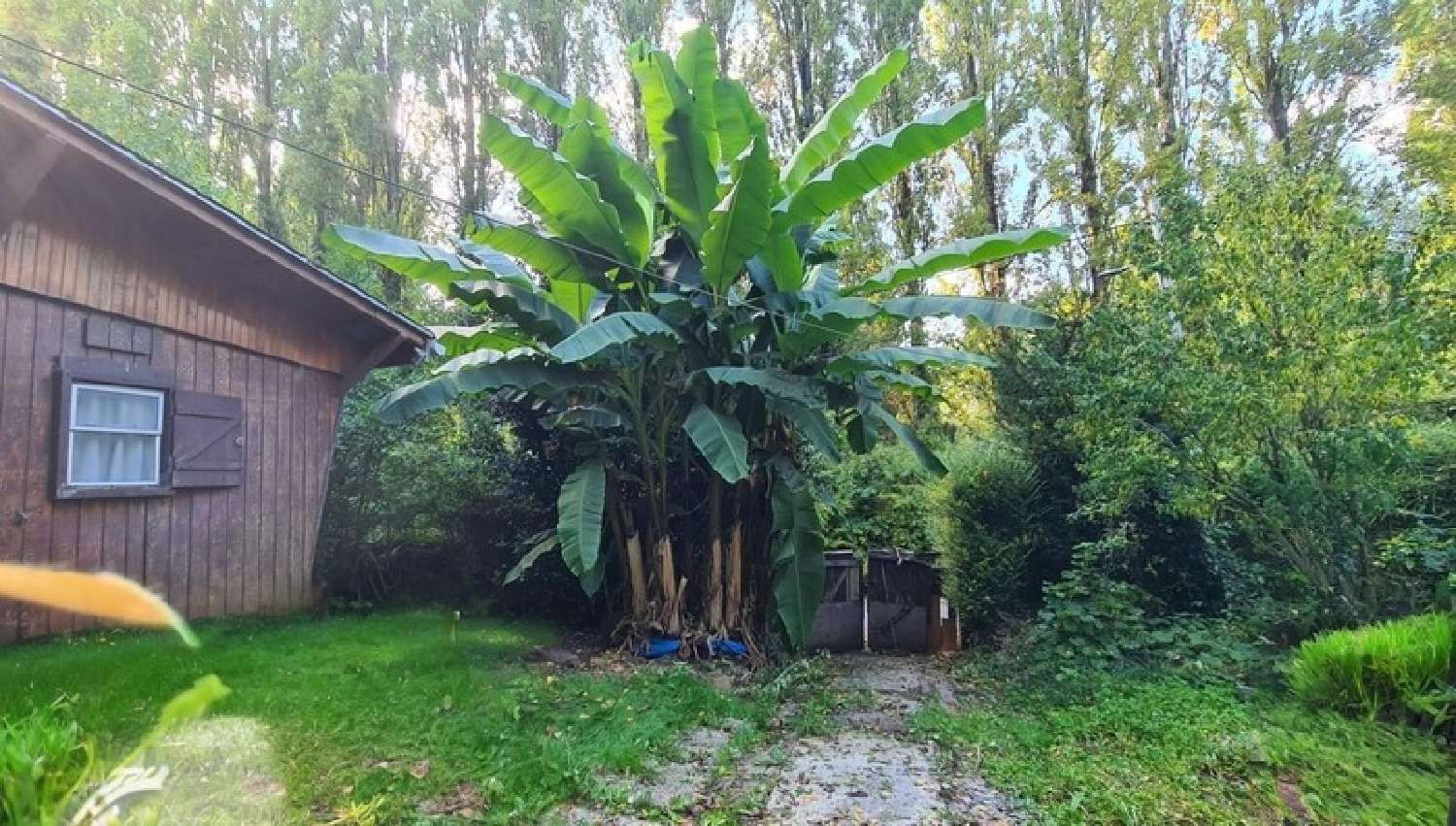  te koop huis Chalifert Seine-et-Marne 1