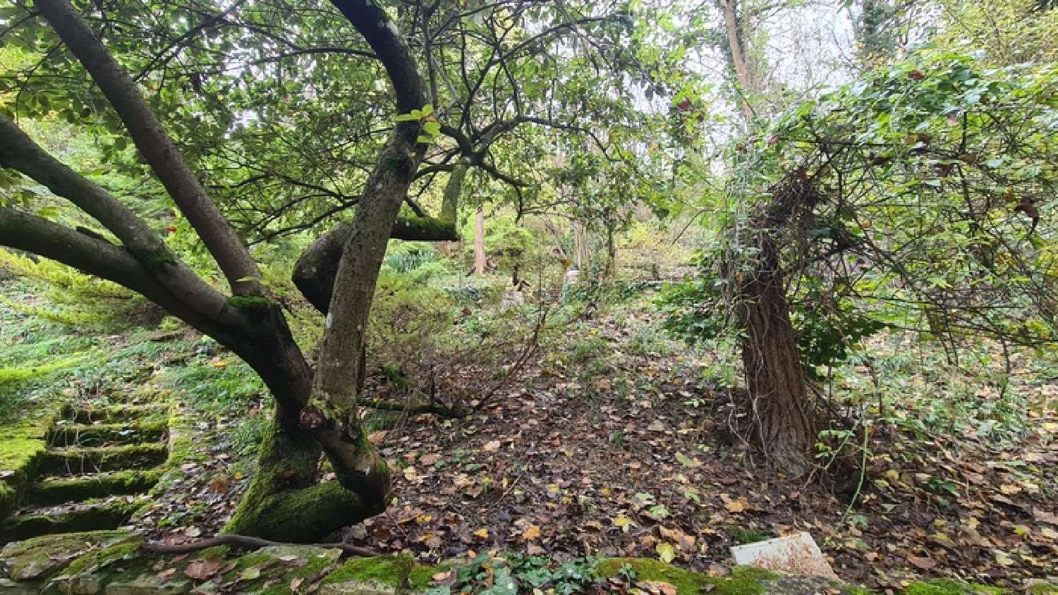  te koop huis Chalifert Seine-et-Marne 5