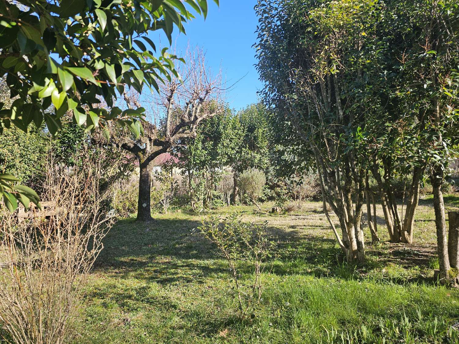 te koop huis Chambonas Ardèche 3