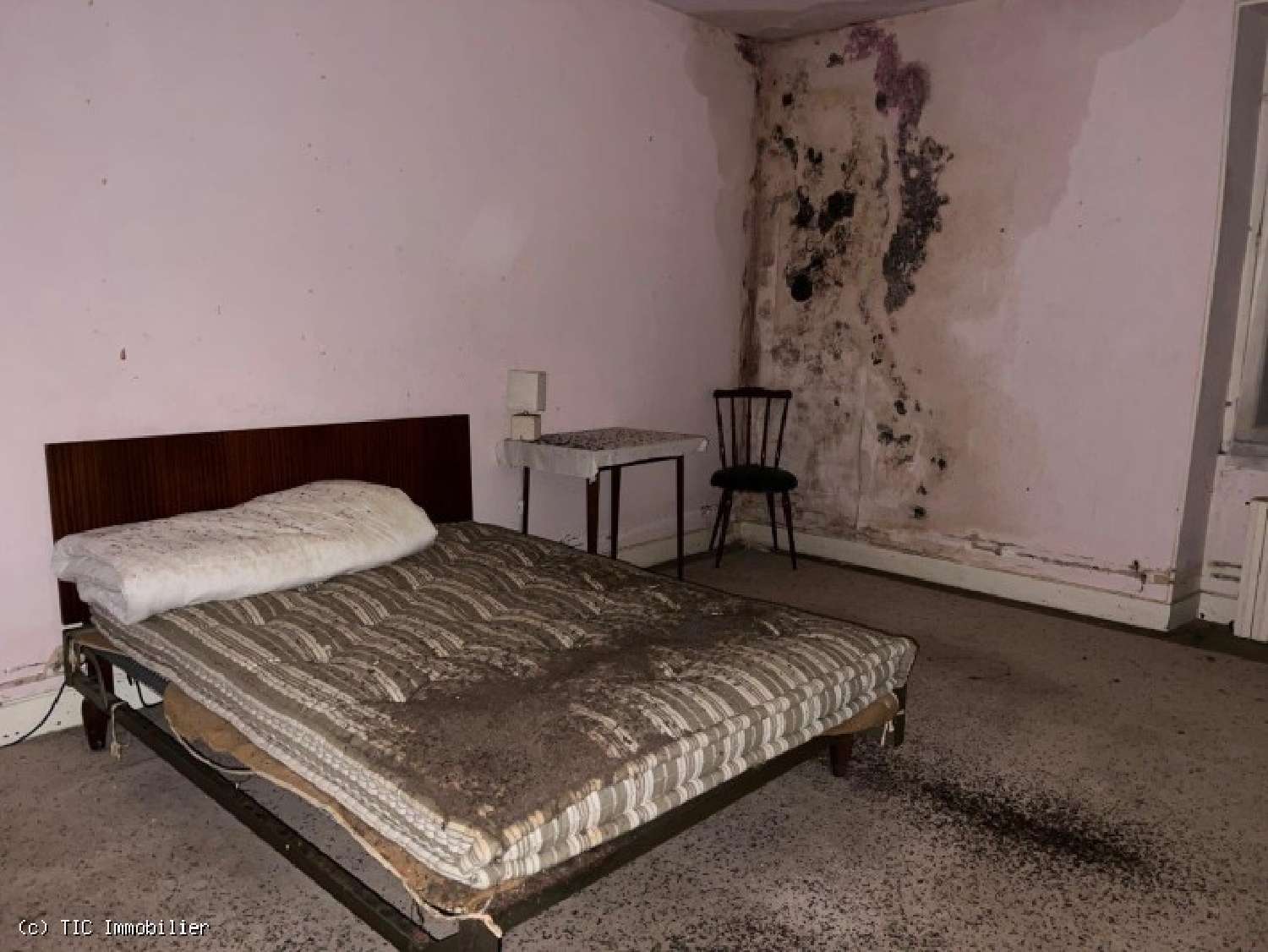 for sale house Champagne-Mouton Charente 8