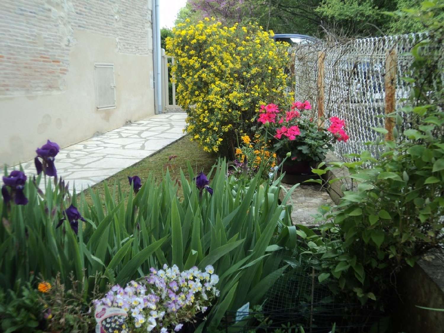  à vendre maison Champagne-Mouton Charente 4