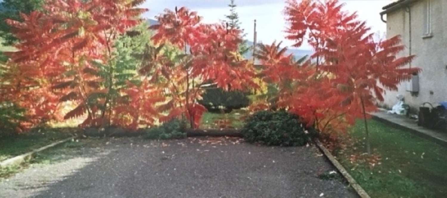  te koop huis Champtercier Alpes-de-Haute-Provence 8