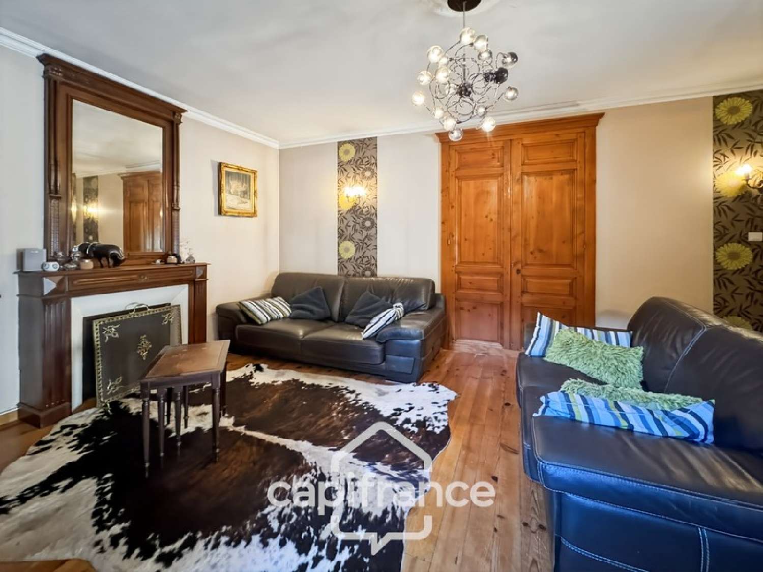  te koop huis Chanas Isère 4