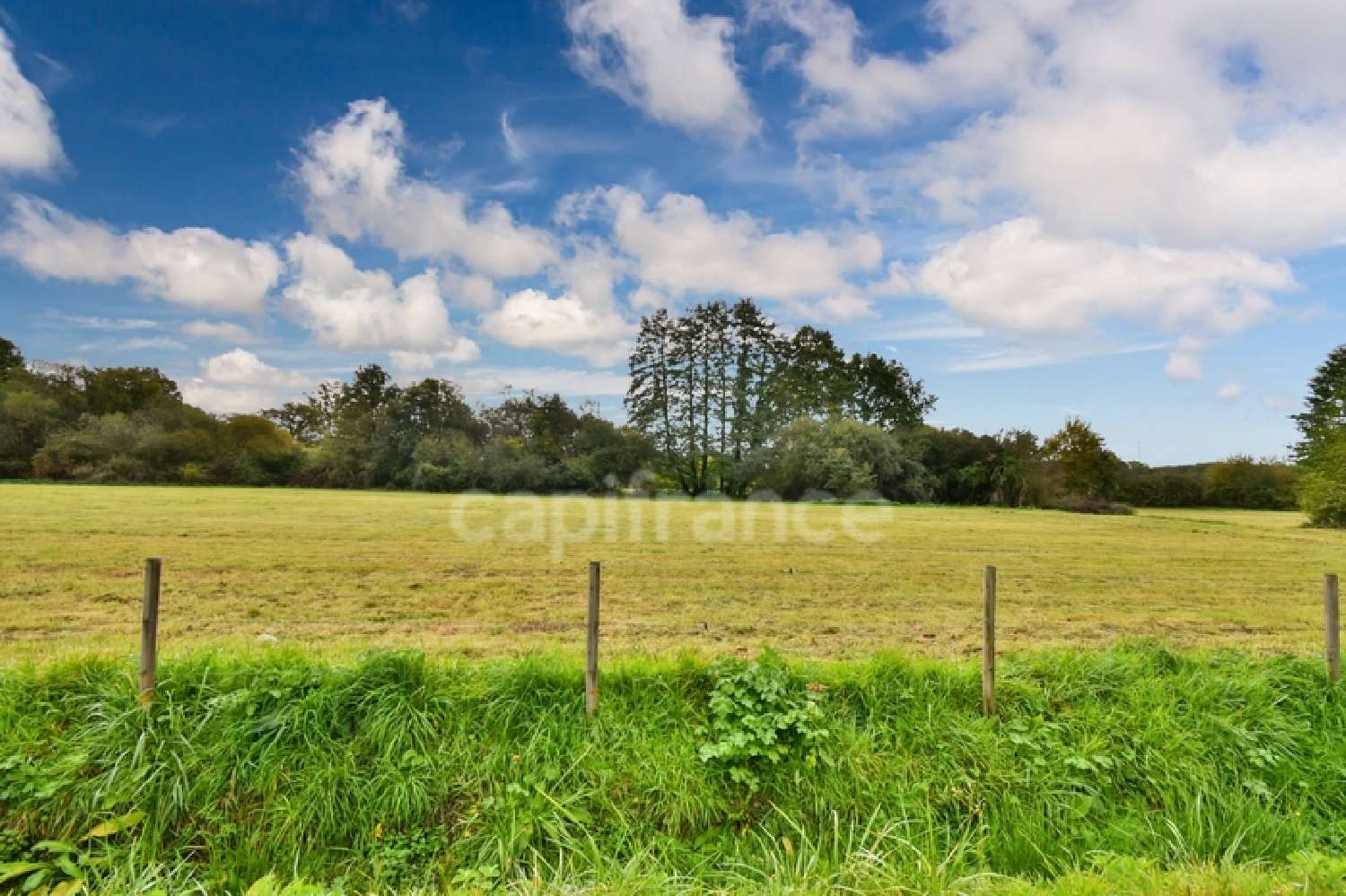 kaufen Haus Changé Sarthe 7