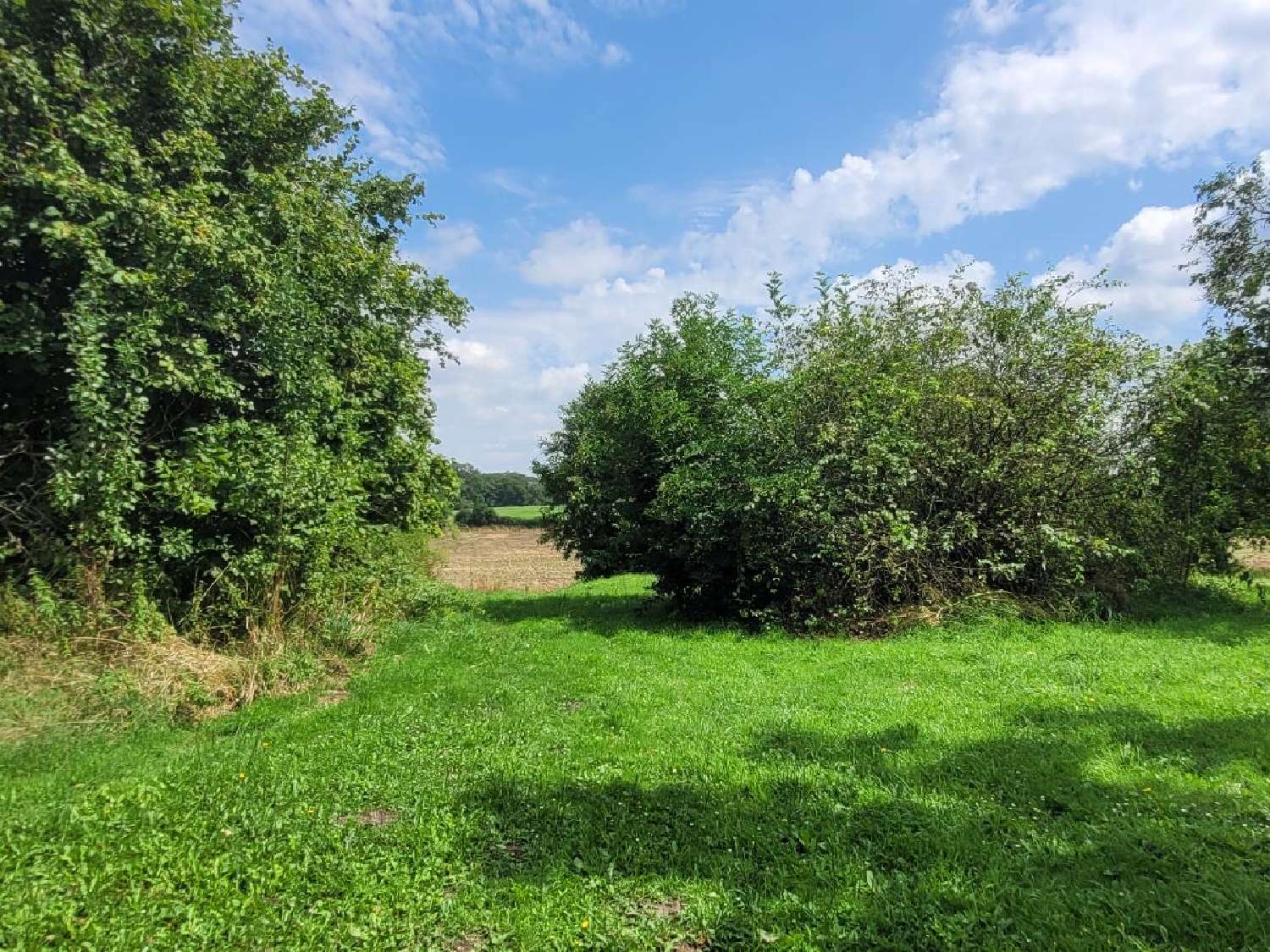  te koop huis Charbonnières Eure-et-Loir 2