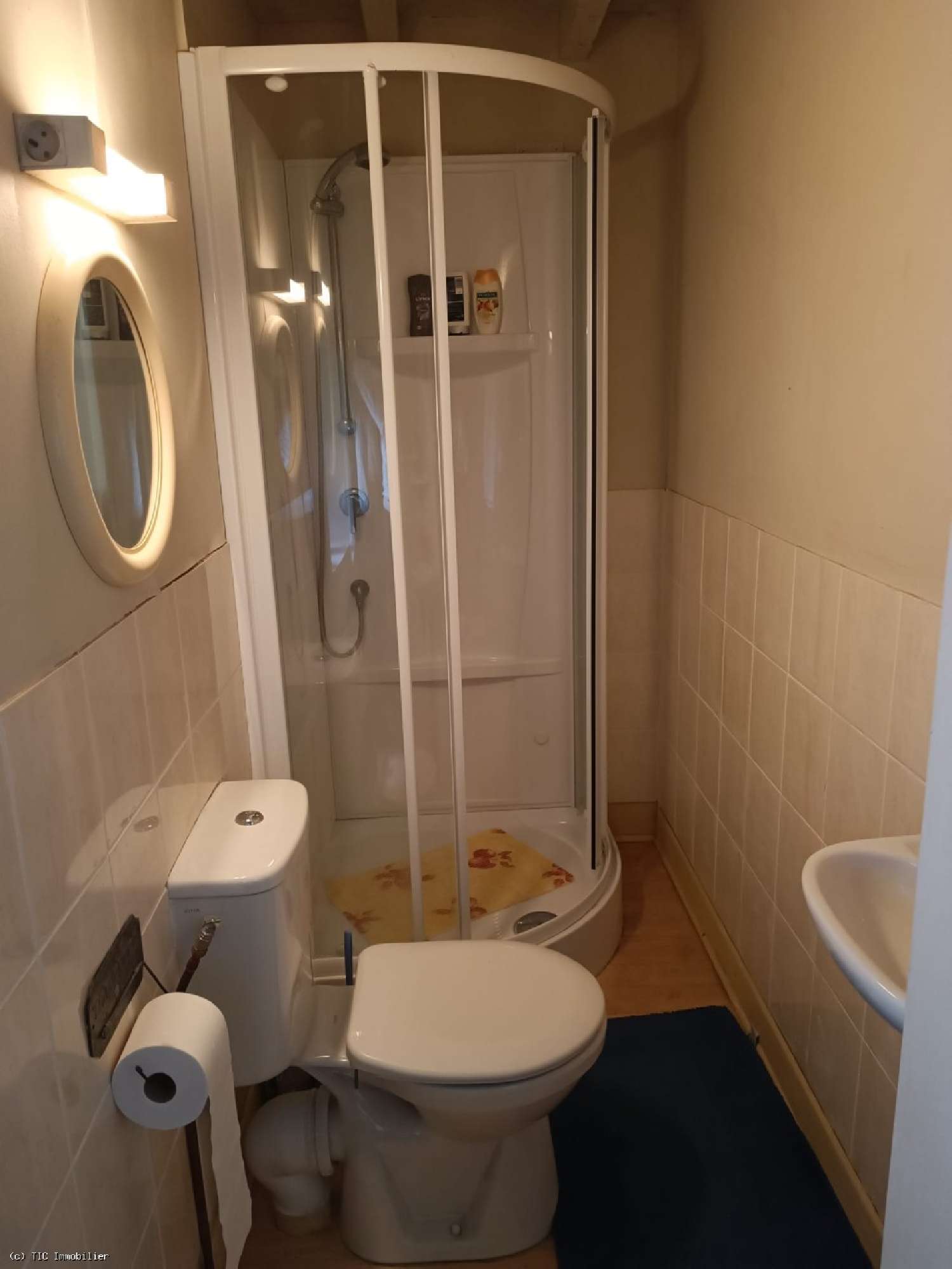 te koop huis Charroux Vienne 8