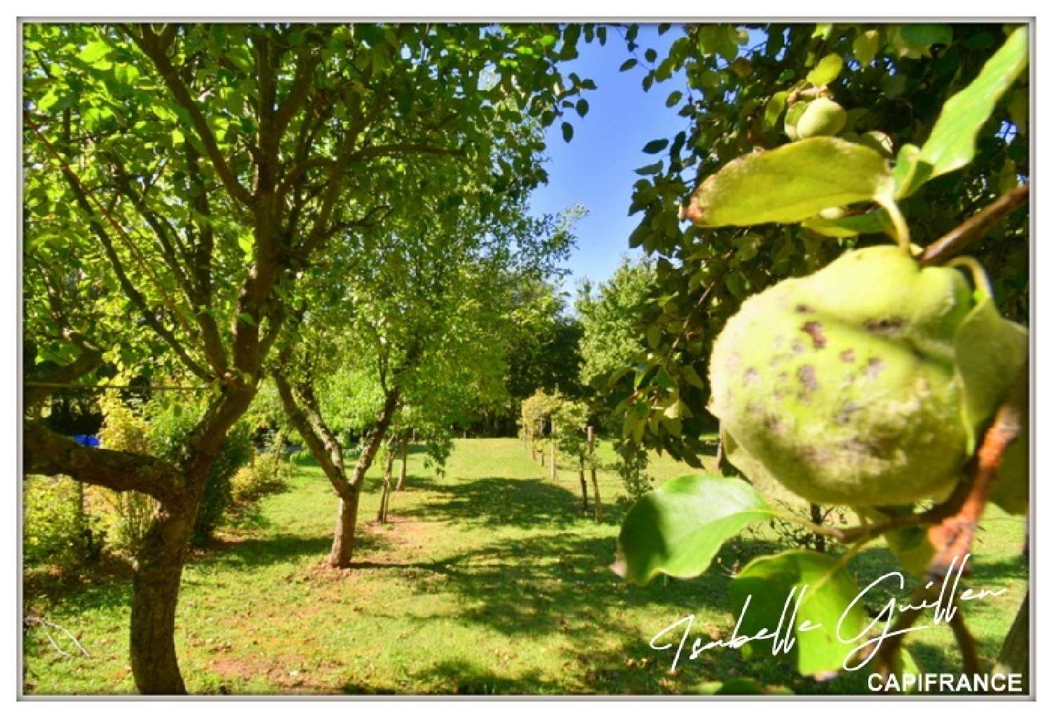 te koop huis Châteaumeillant Cher 3