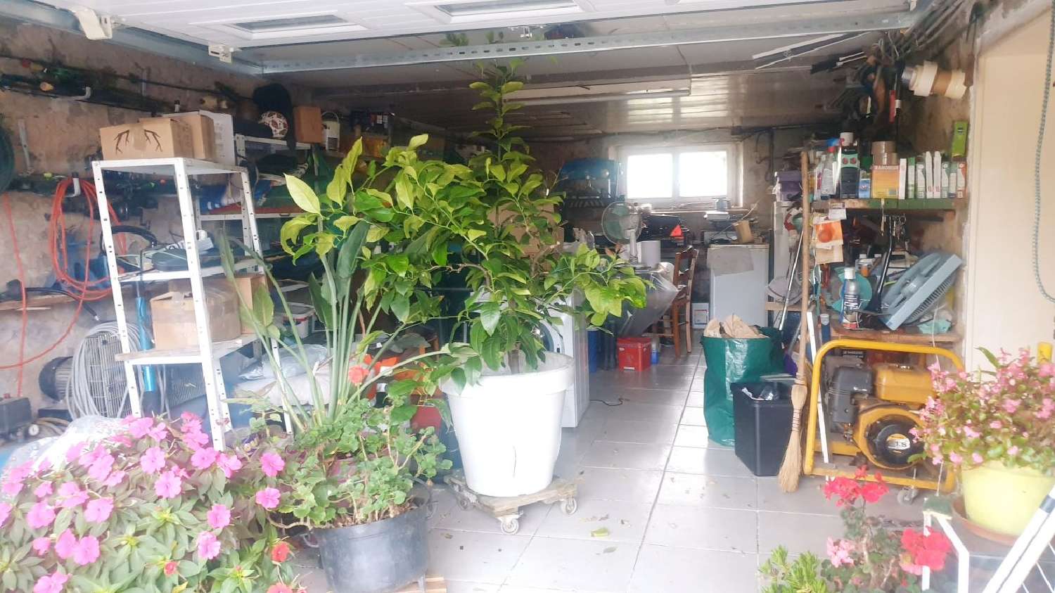 kaufen Haus Châteauneuf-la-Forêt Haute-Vienne 5