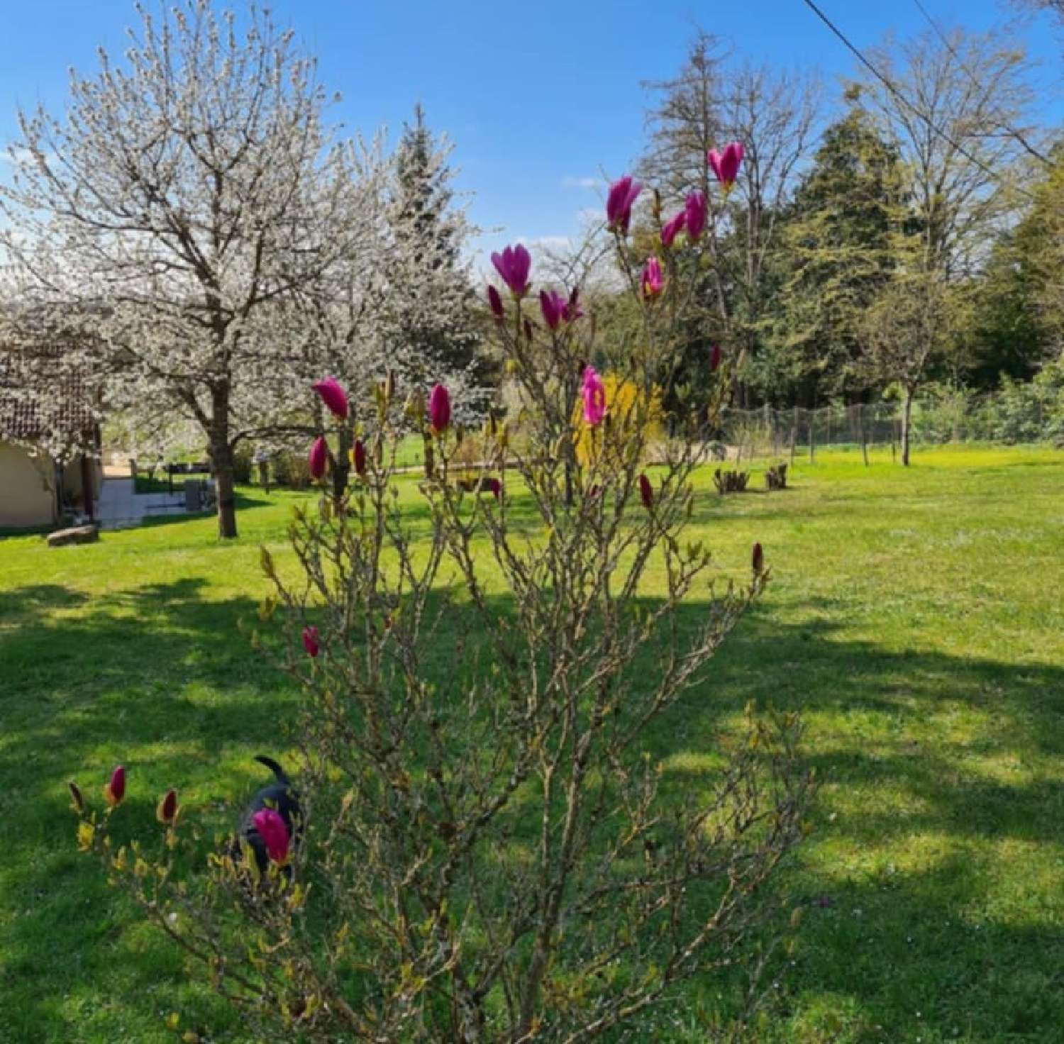  à vendre maison Châtillon-sur-Saône Vosges 3
