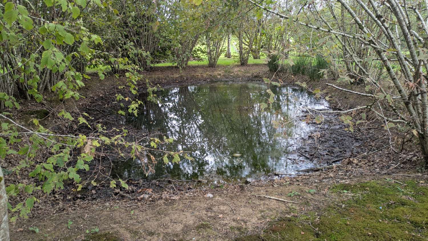  for sale house Chaumergy Jura 4