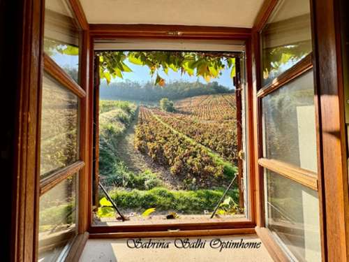 Chénas Rhône Haus Bild 7171646