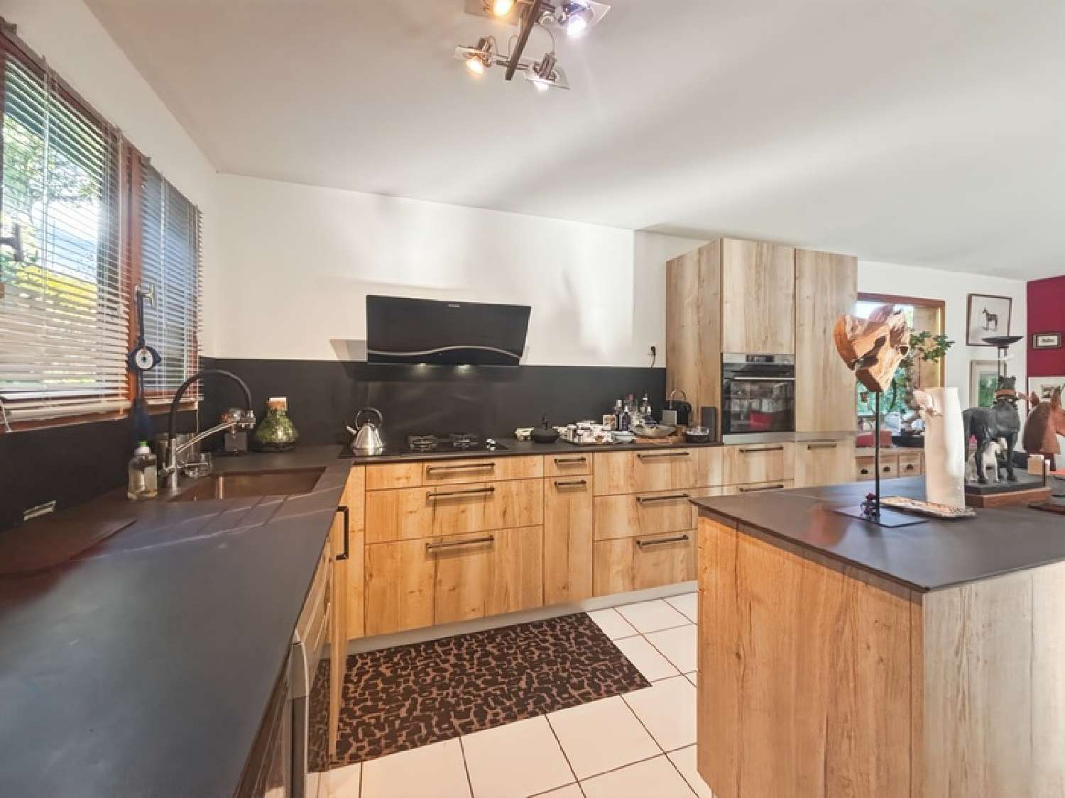 te koop huis Chevrier Haute-Savoie 5