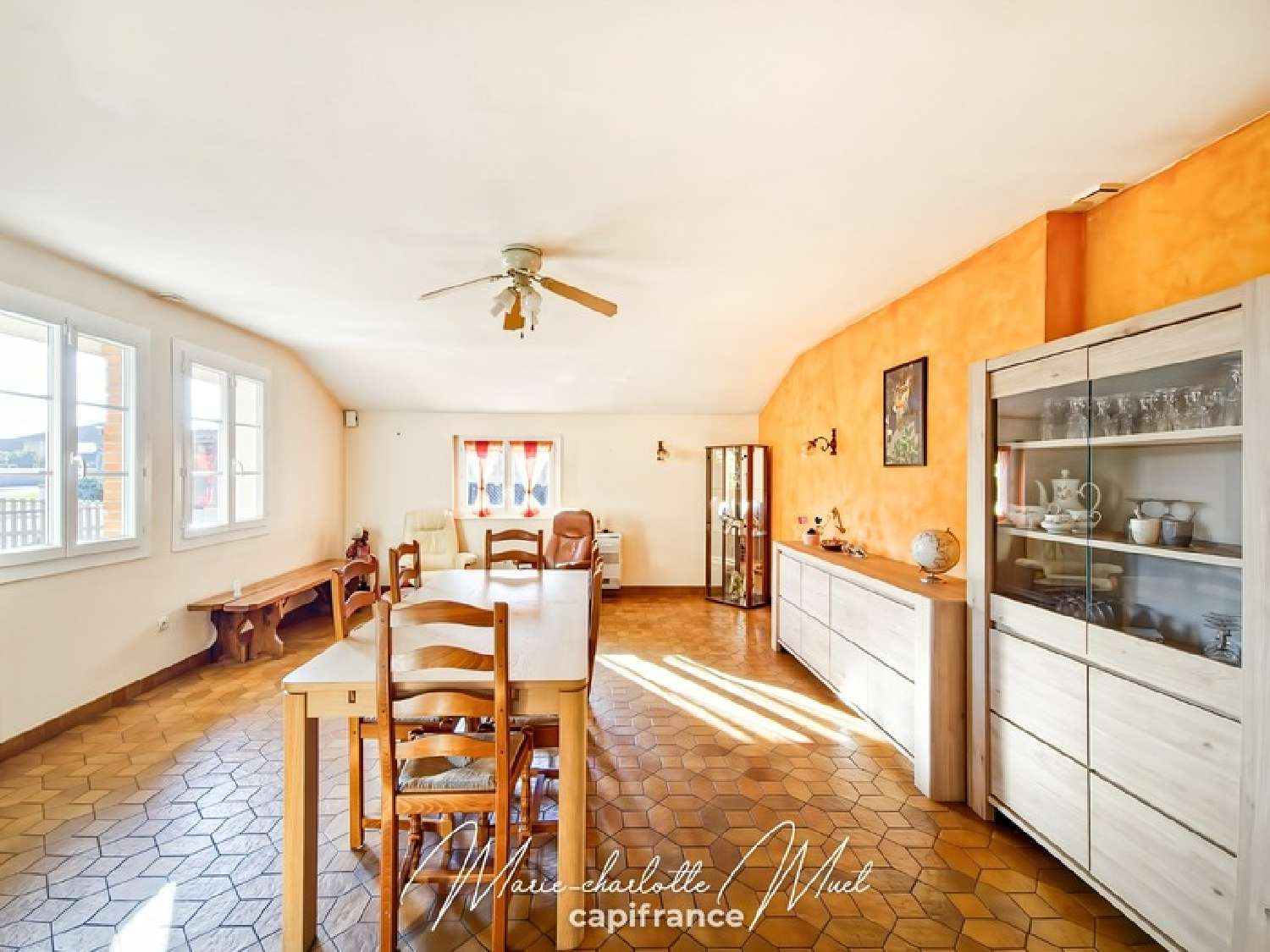  te koop huis Chevroux Ain 6