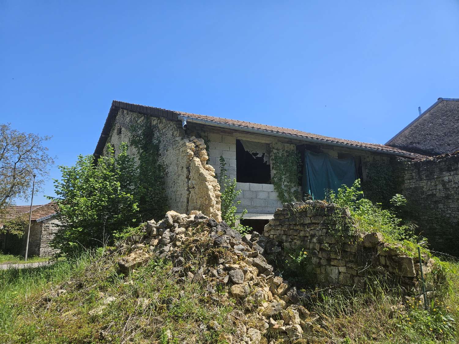 kaufen Haus Chézeaux Haute-Marne 3