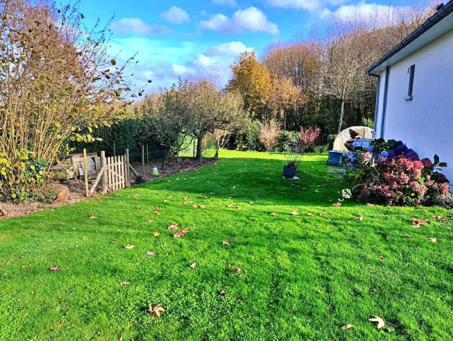  for sale house Coglès Ille-et-Vilaine 3