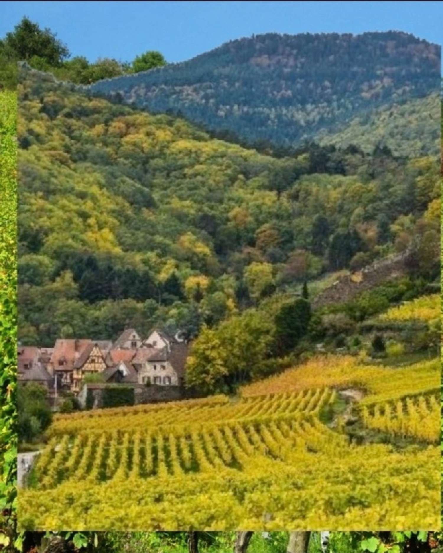 for sale house Colmar Haut-Rhin 3