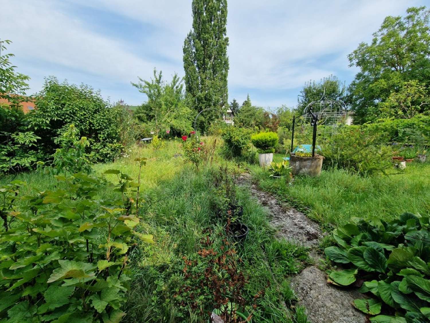 for sale house Colmar Haut-Rhin 4