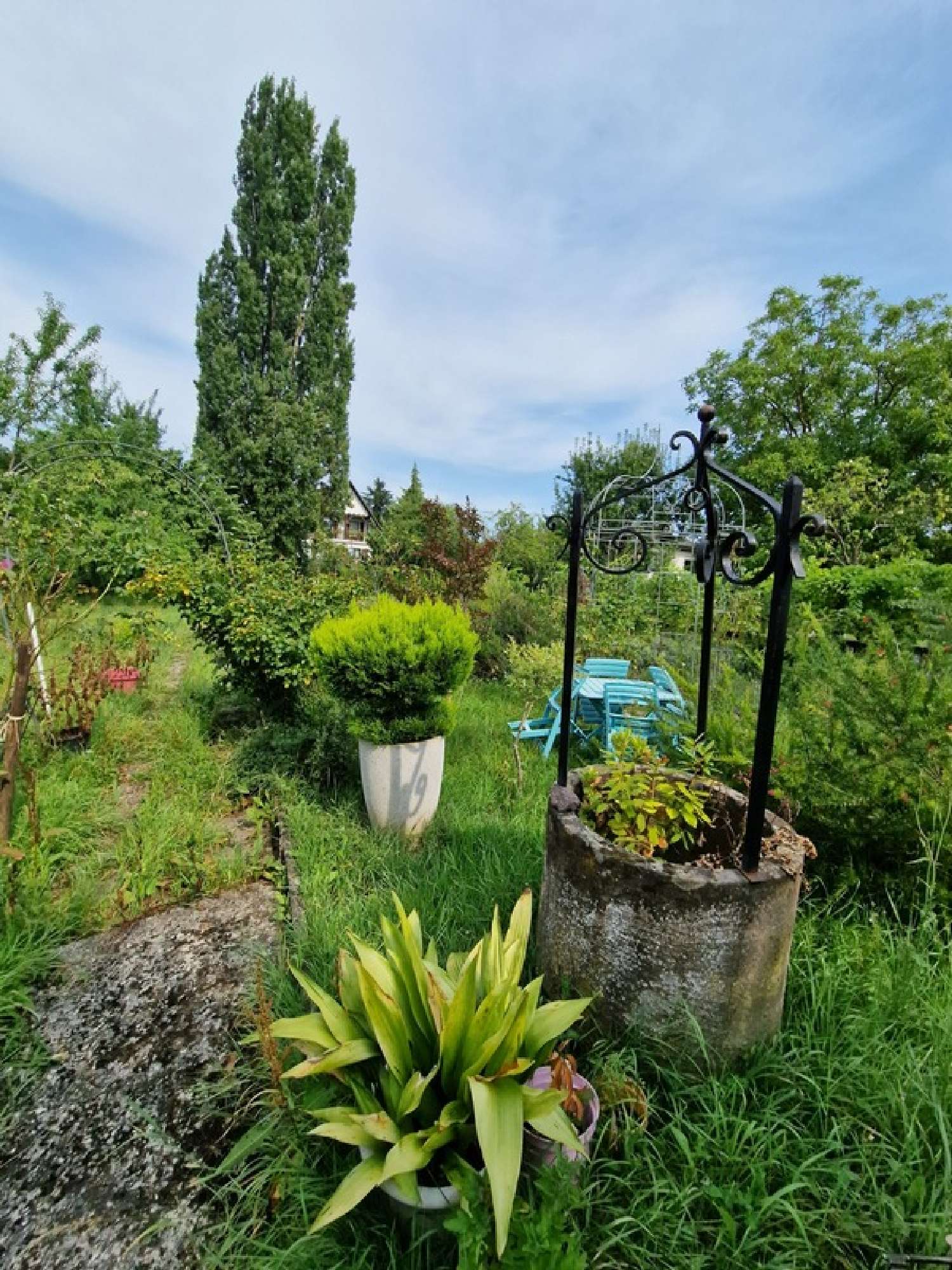 for sale house Colmar Haut-Rhin 5