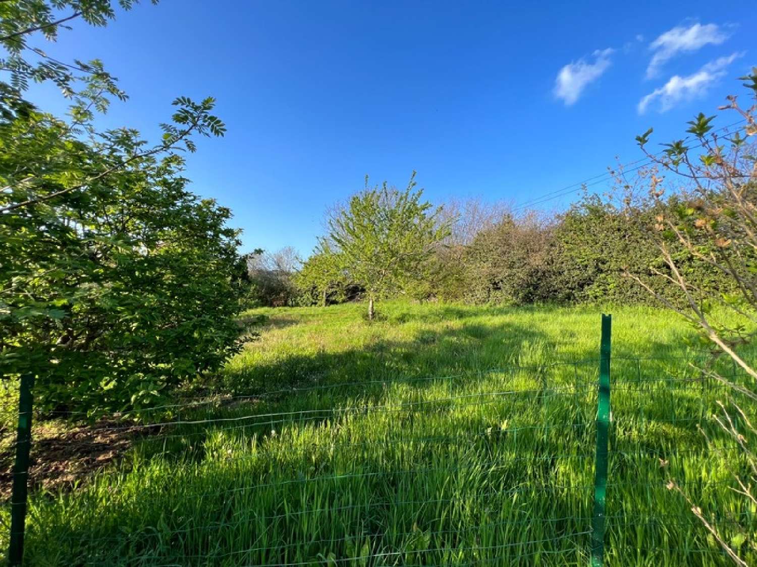  kaufen Haus Cours-La-Ville Rhône 5