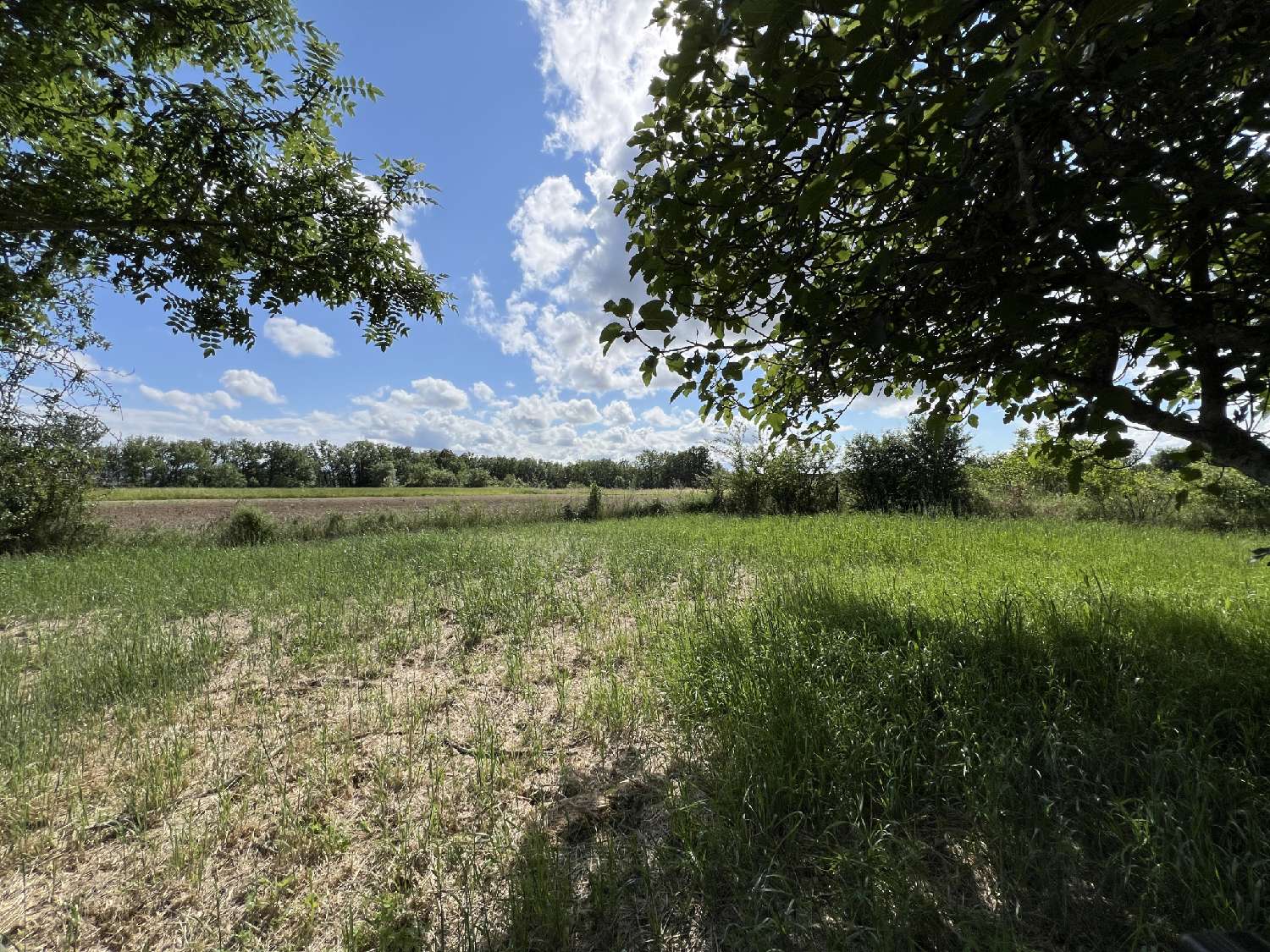 te koop huis Damiatte Tarn 8