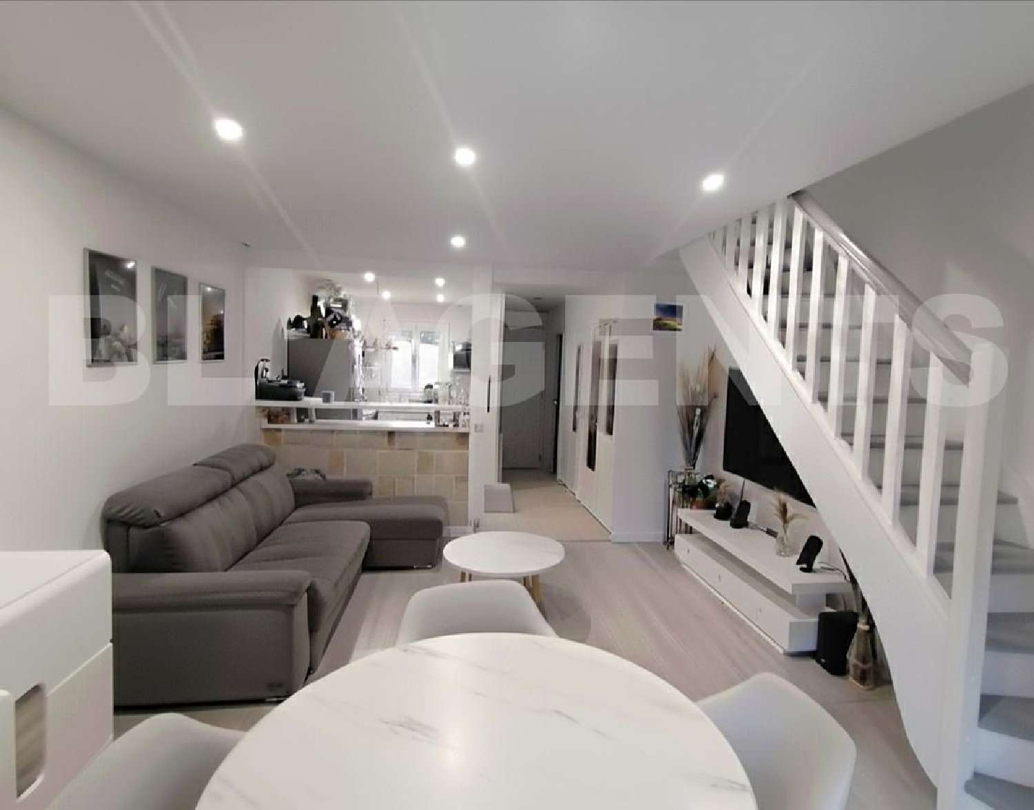 te koop huis Dammartin-en-Goële Seine-et-Marne 1