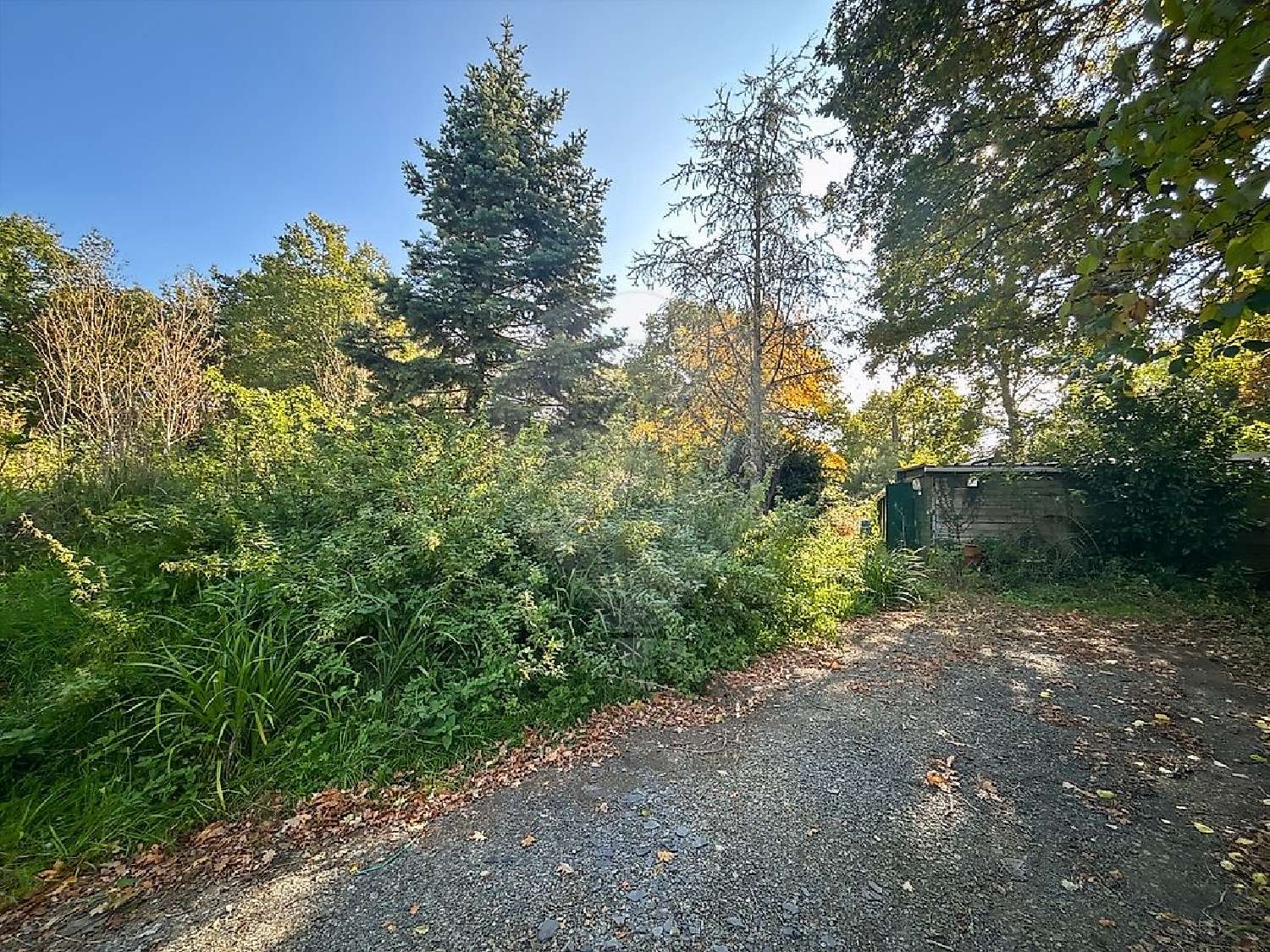 kaufen Haus Derval Loire-Atlantique 8