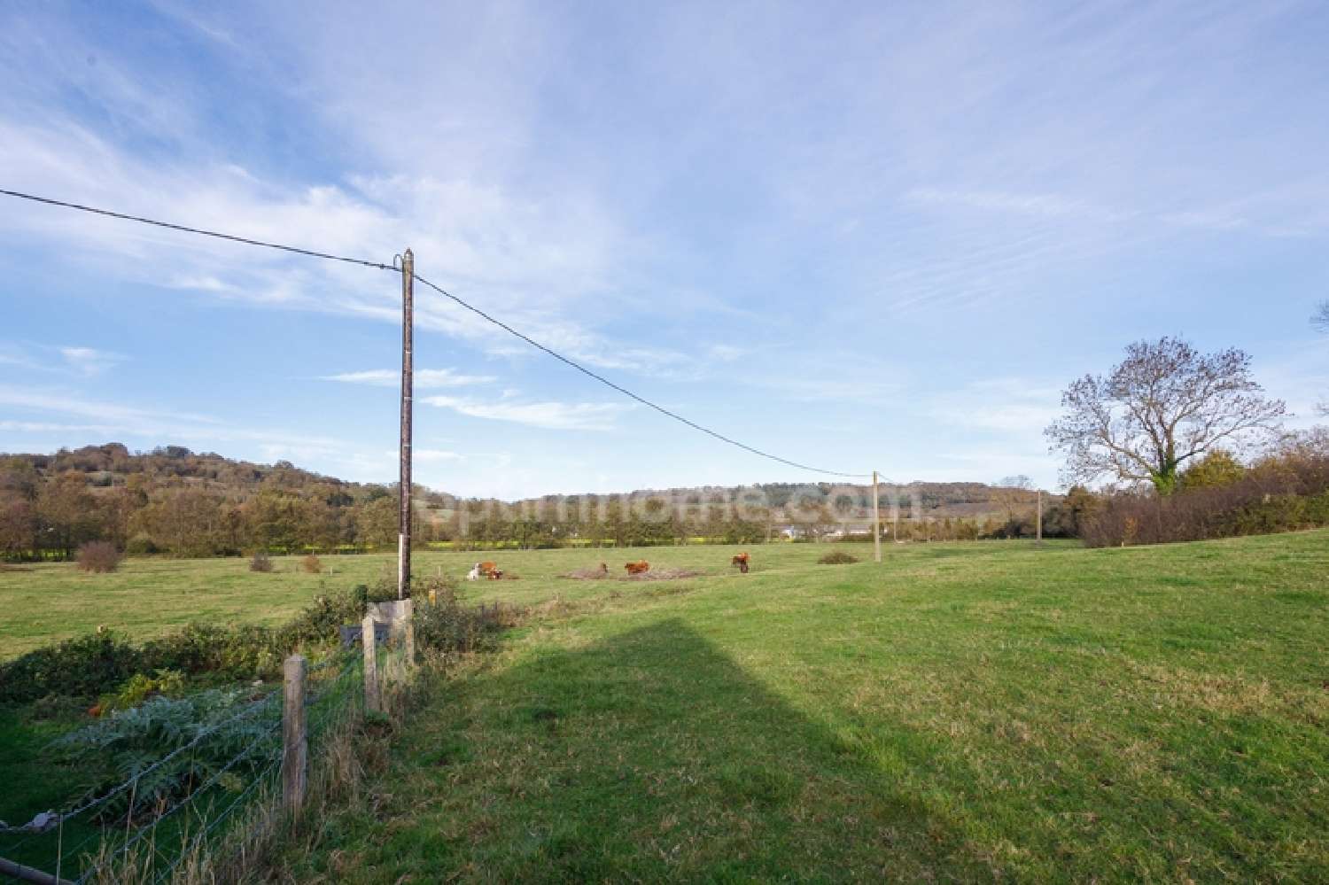  à vendre maison Dozulé Calvados 6