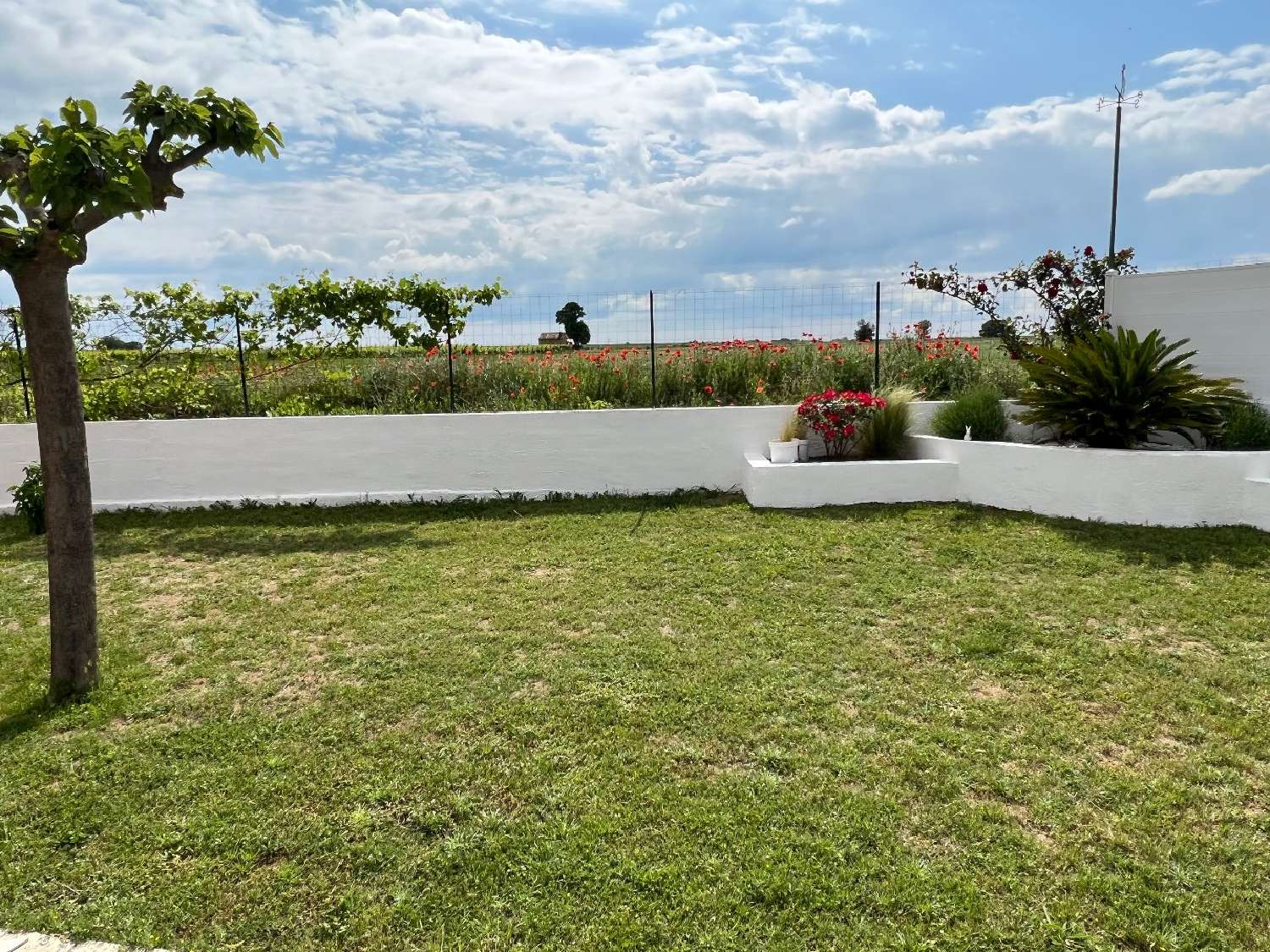  for sale house Espondeilhan Hérault 2