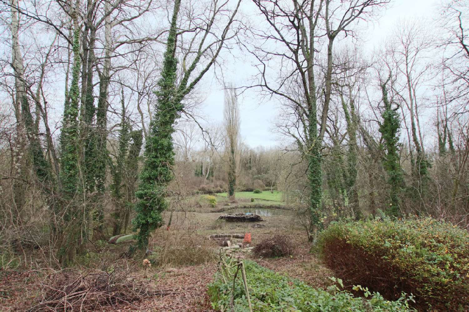  te koop huis Estouy Loiret 6