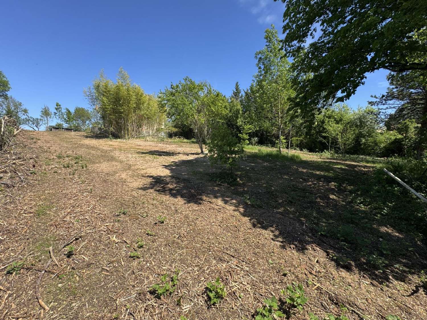  te koop huis Fauch Tarn 4