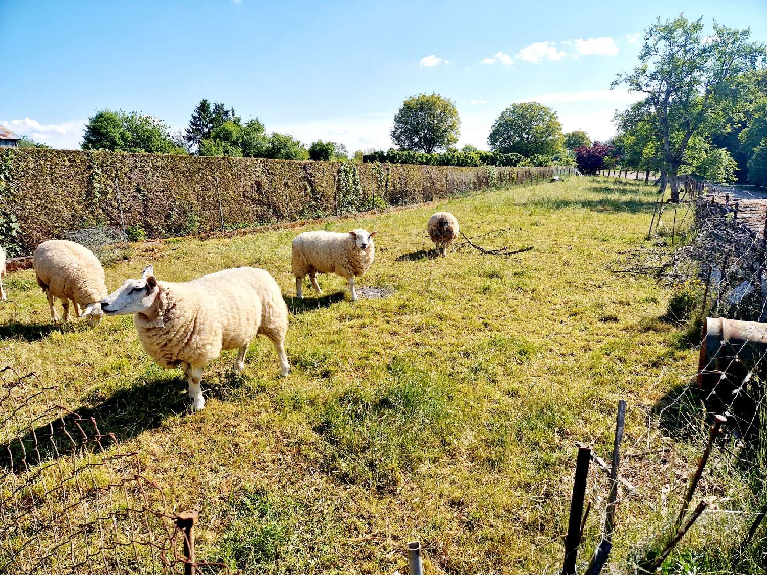 te koop huis Fayl-Billot Haute-Marne 2