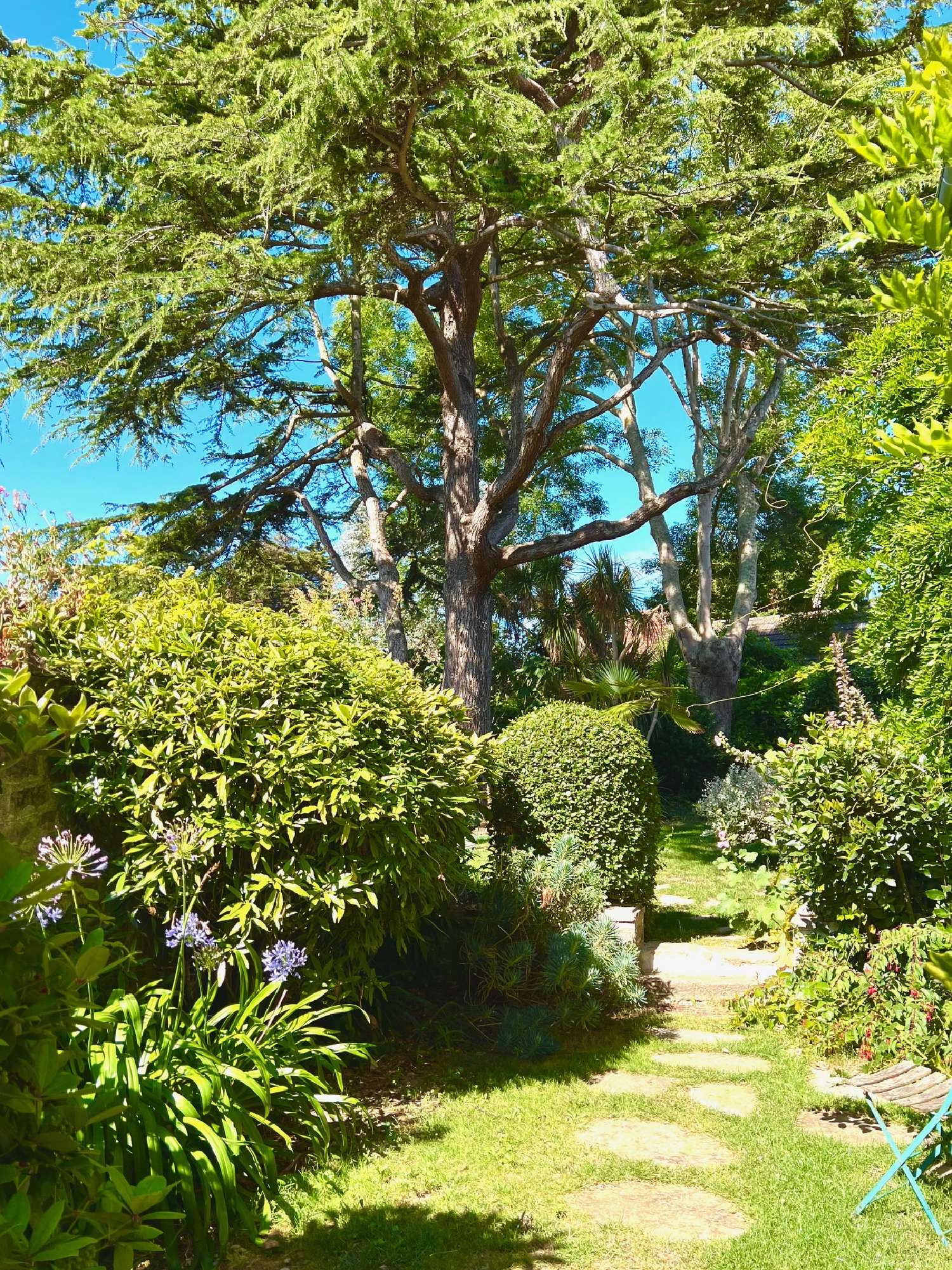  à vendre maison Fermanville Manche 2