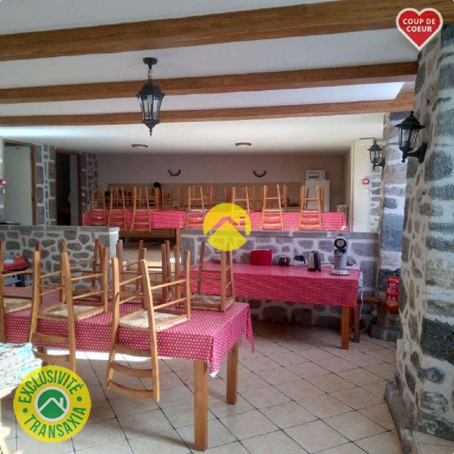  for sale house Ferrières-Saint-Mary Cantal 8