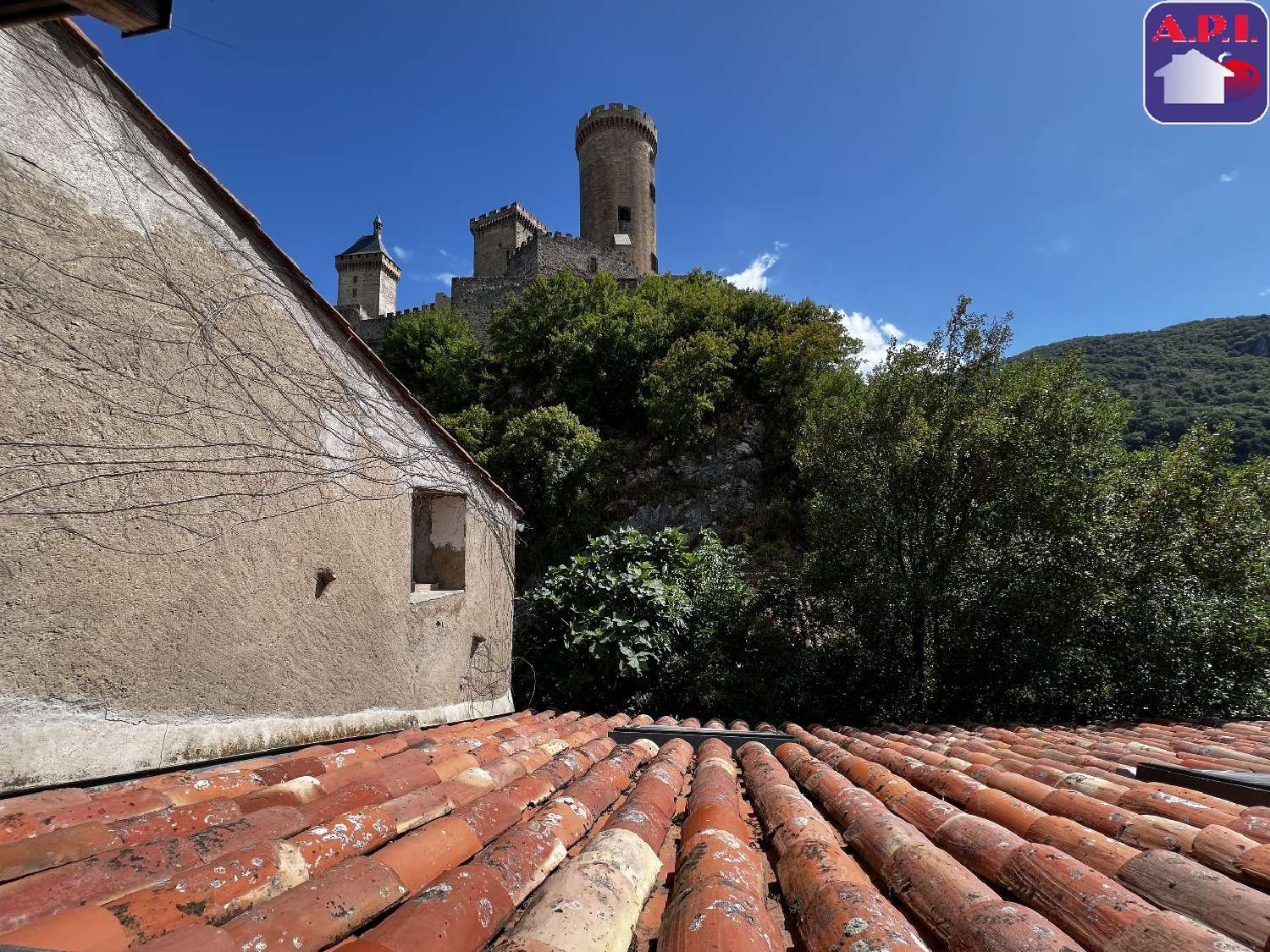  te koop huis Foix Ariège 3