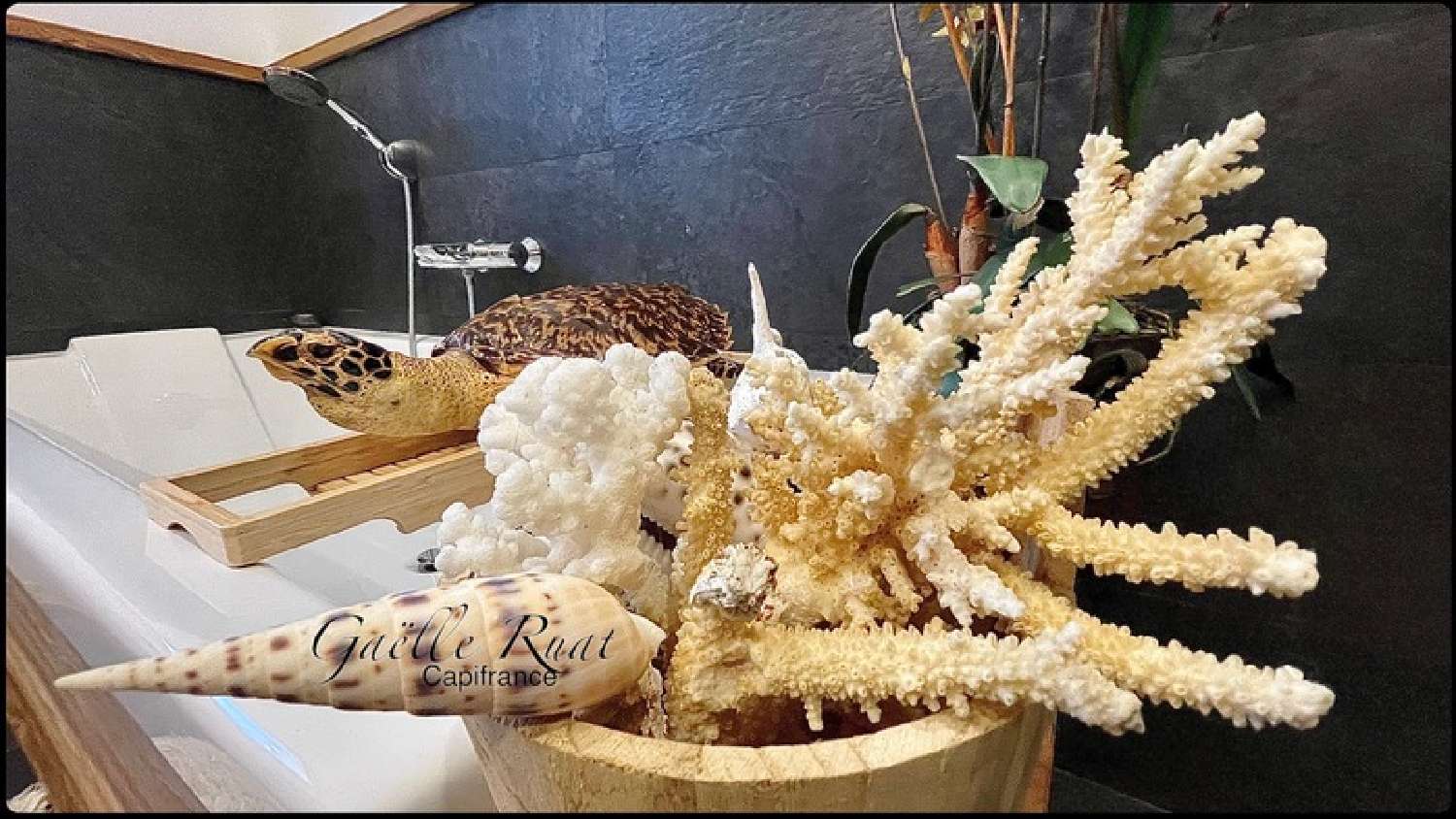  kaufen Haus Font-Romeu-Odeillo-Via Pyrénées-Orientales 5