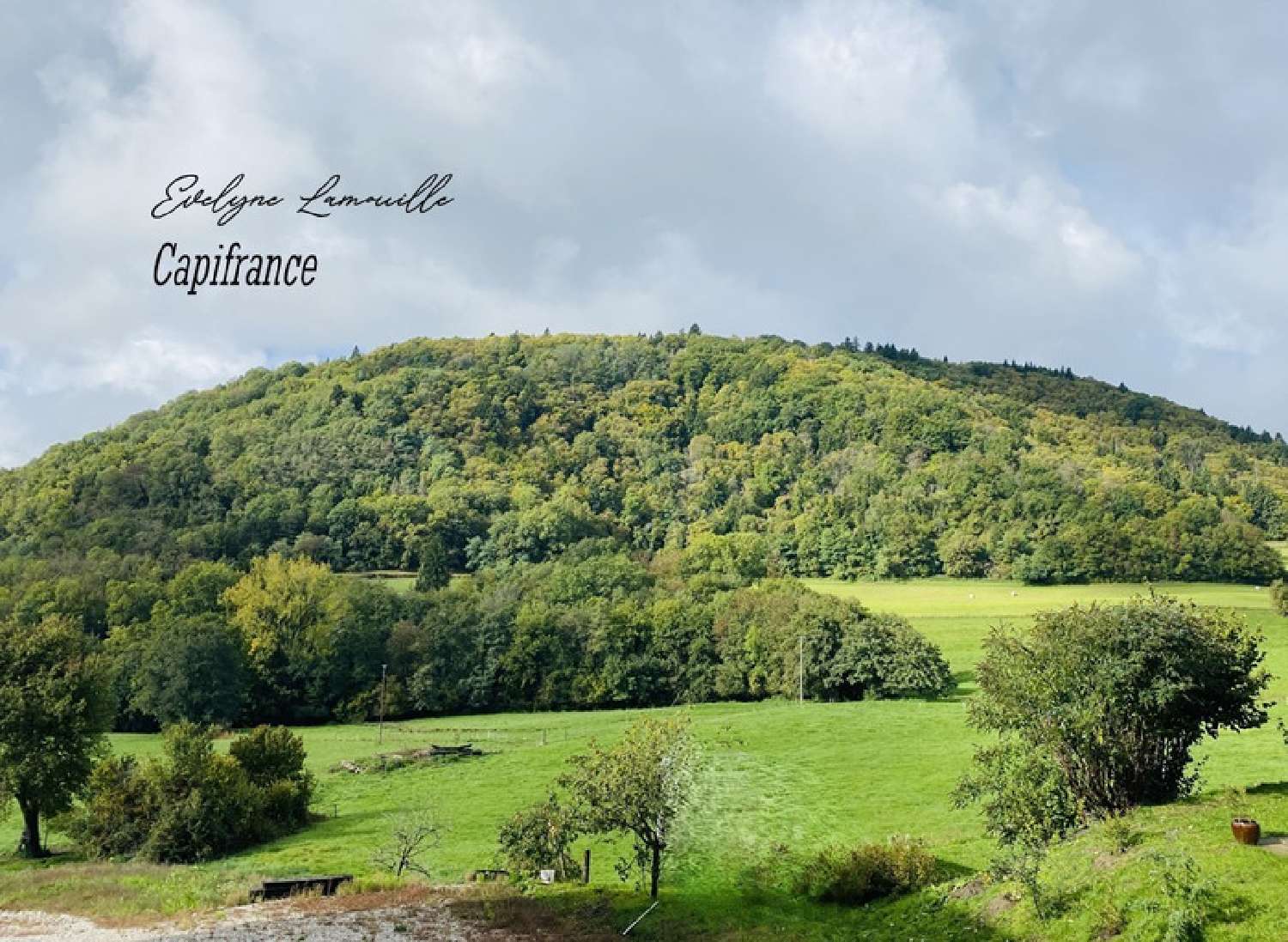 te koop huis Frangy Haute-Savoie 1