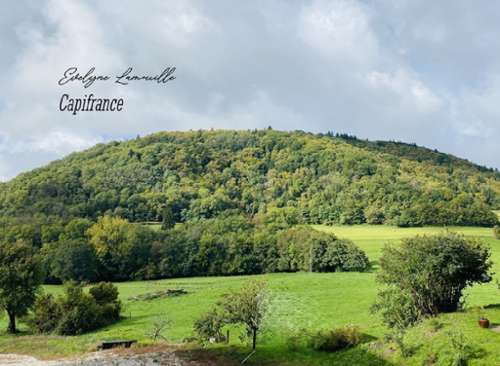 Frangy Haute-Savoie huis foto 7184182