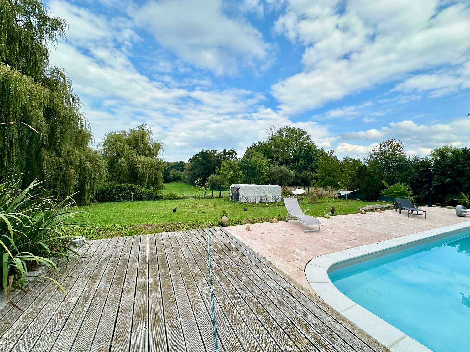  à vendre maison Friesen Haut-Rhin 4