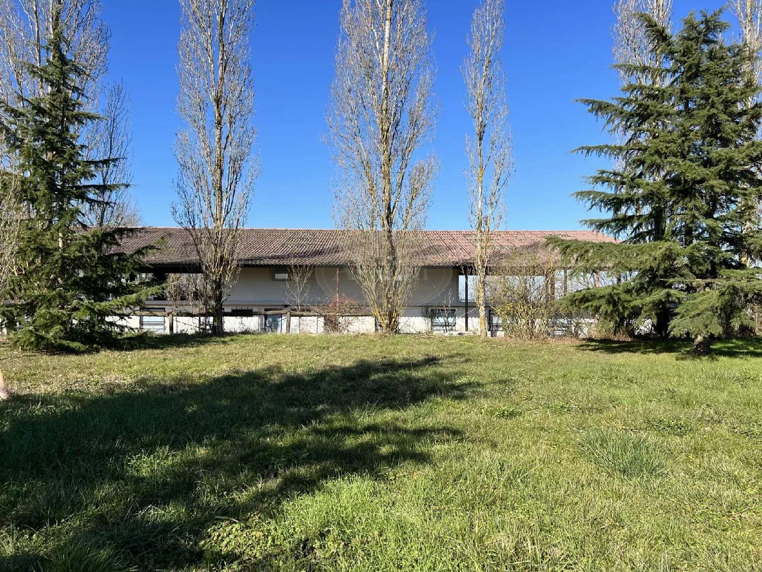  à vendre maison Garac Haute-Garonne 3