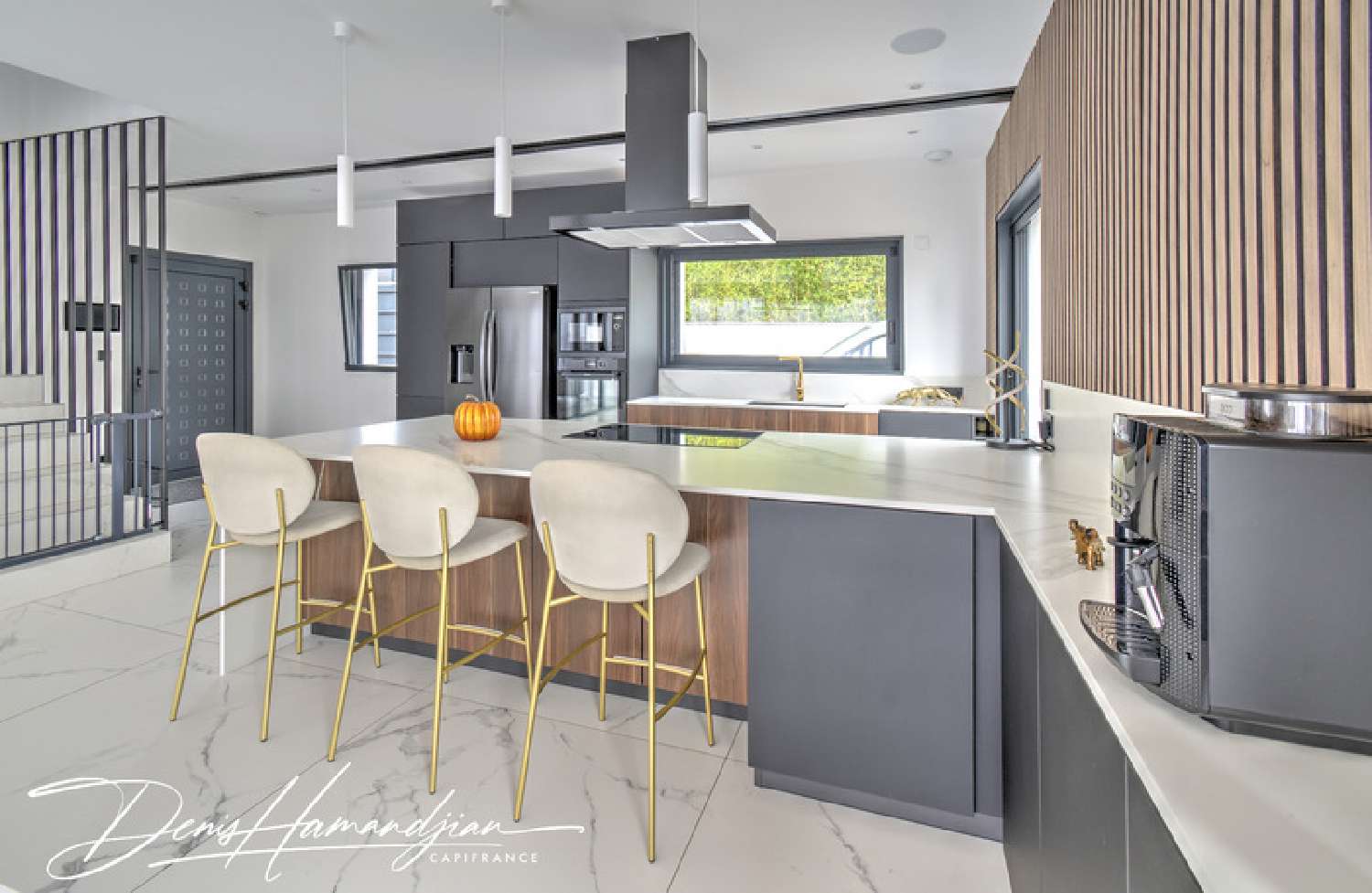 for sale house Genay Rhône 8