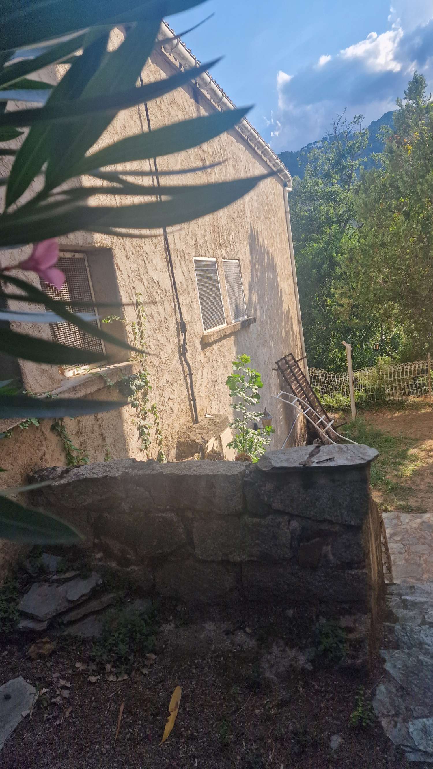 te koop huis Ghisoni Haute-Corse 2