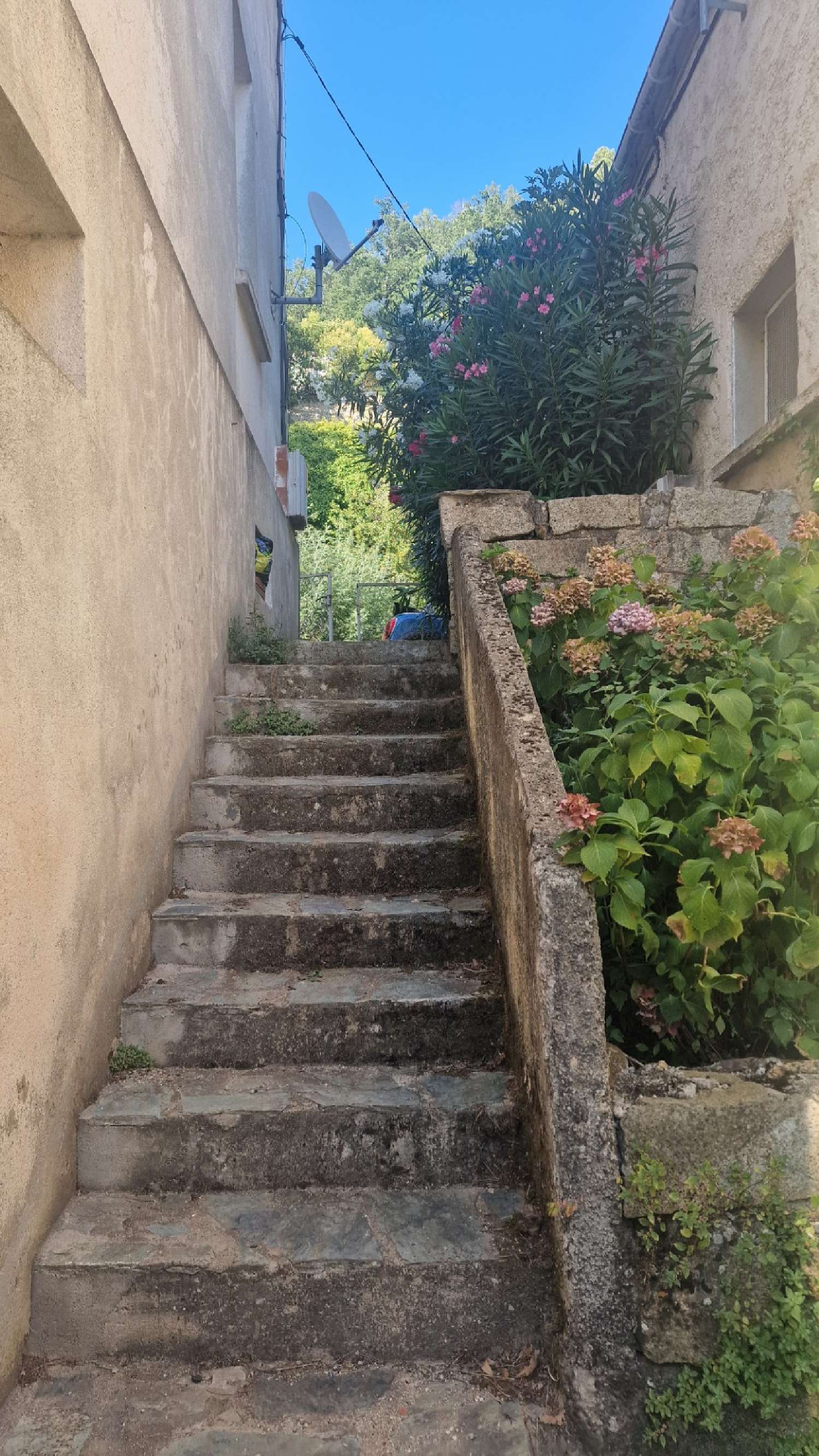 te koop huis Ghisoni Haute-Corse 4